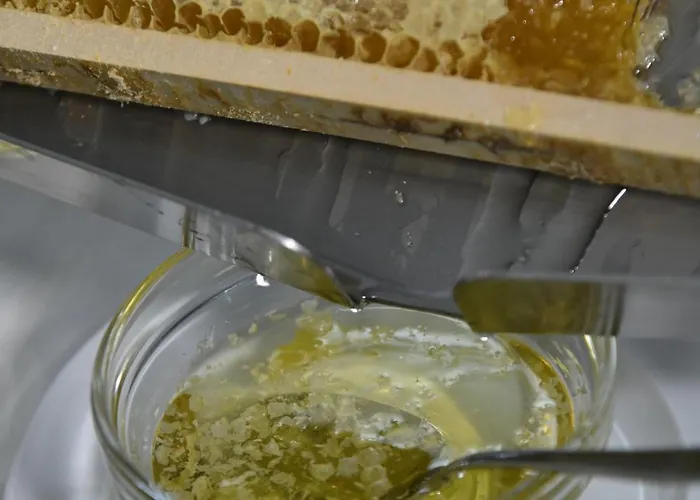 & Sasso دْيانو مارينا